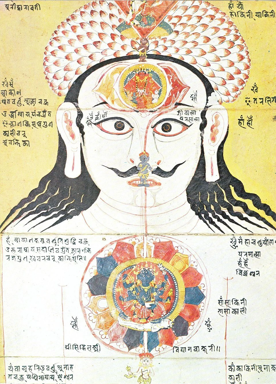 The Subtle Body: Nuance Combats Fake News, and I Feel You