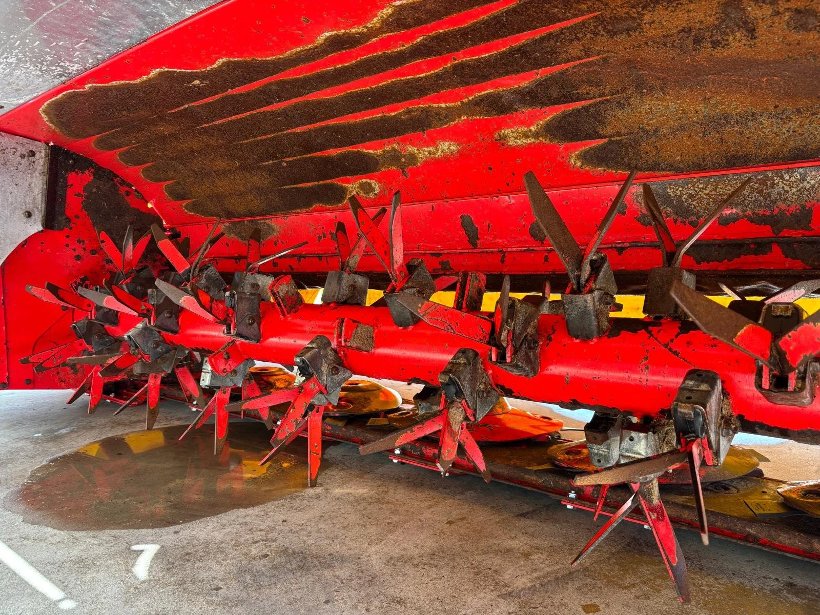 WhatsApp Image 2026-04-13 at 17.19.26 (11).jpeg