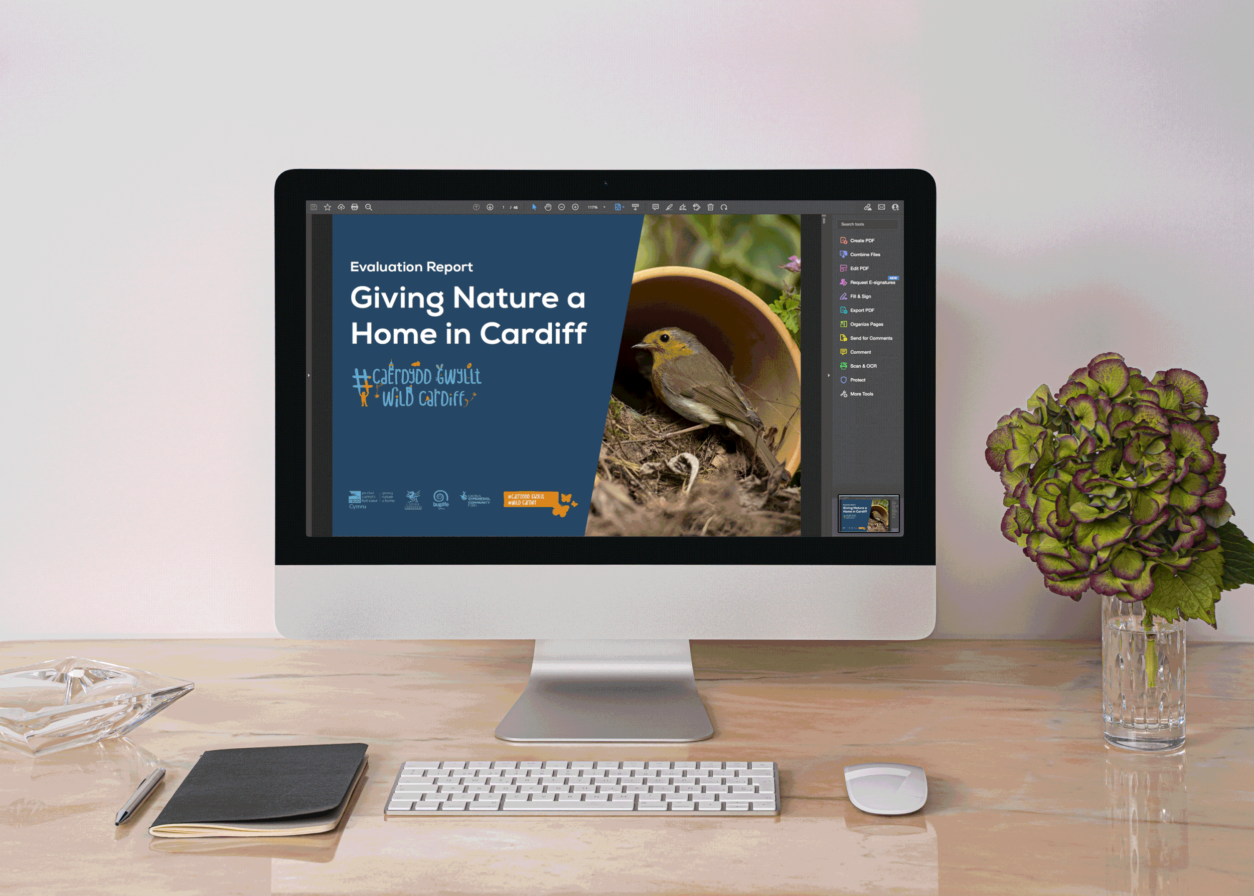 iMac-Screen-EDDREWITT-Mockup_ani.gif