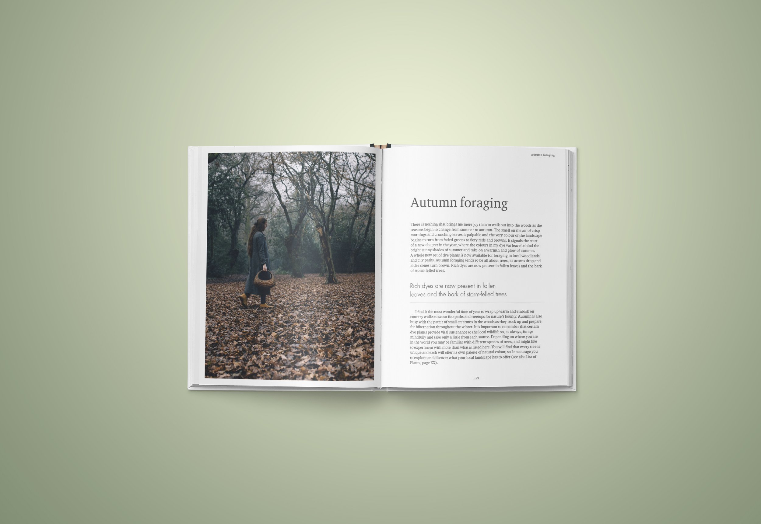 WildDyer-by PuneDesign copy10.jpg