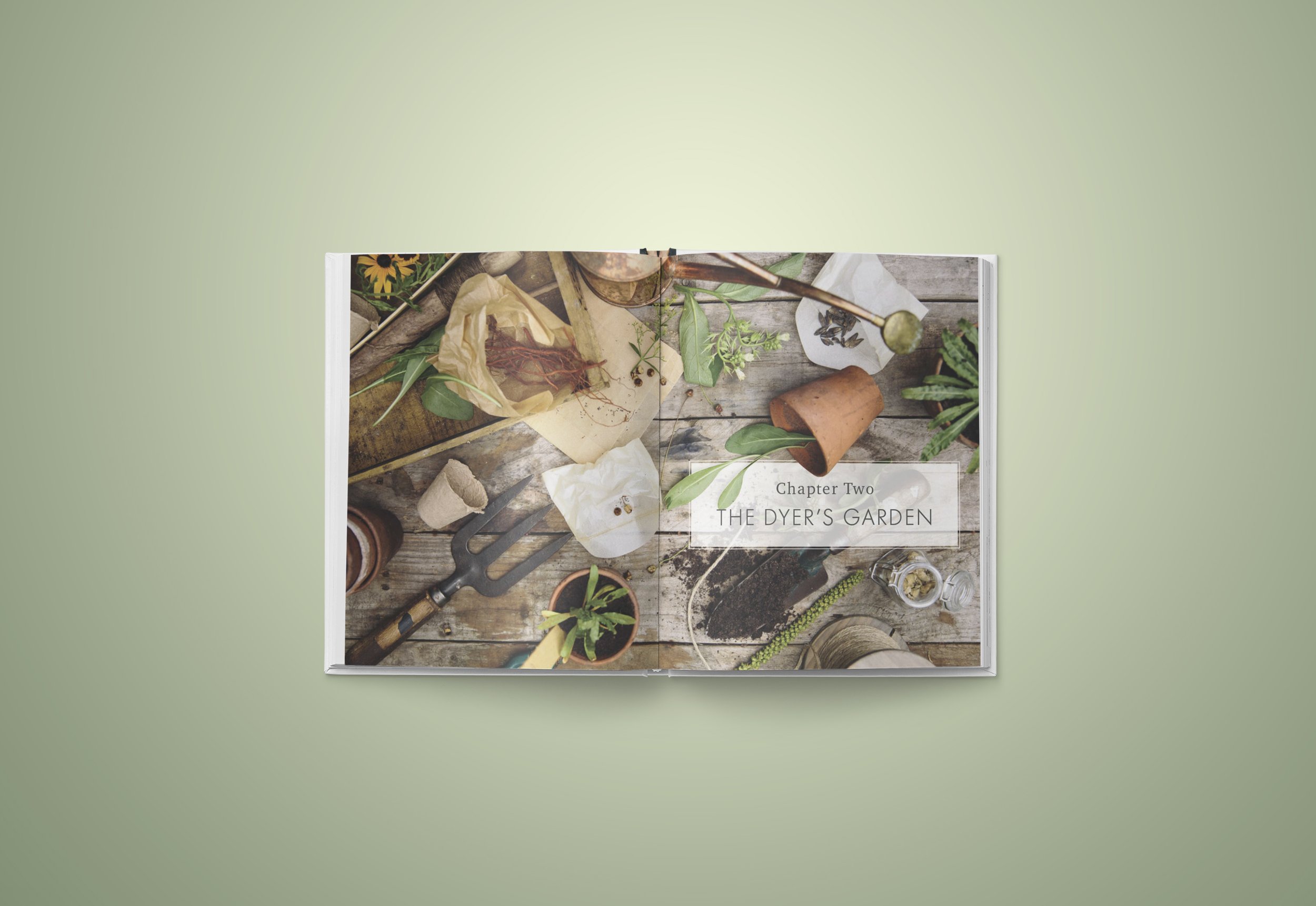 WildDyer-by PuneDesign copy8.jpg