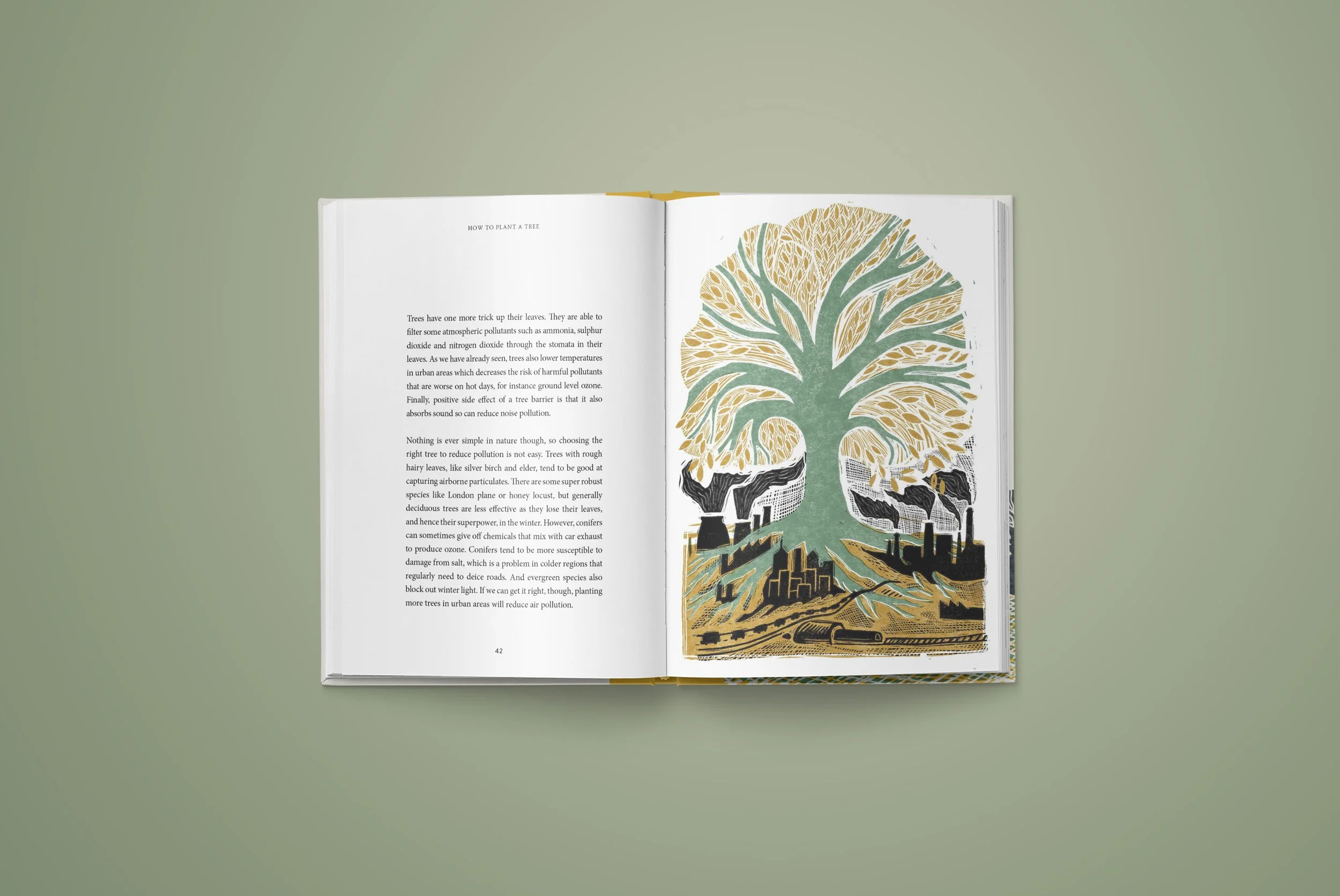 PlantATree_4.jpg
