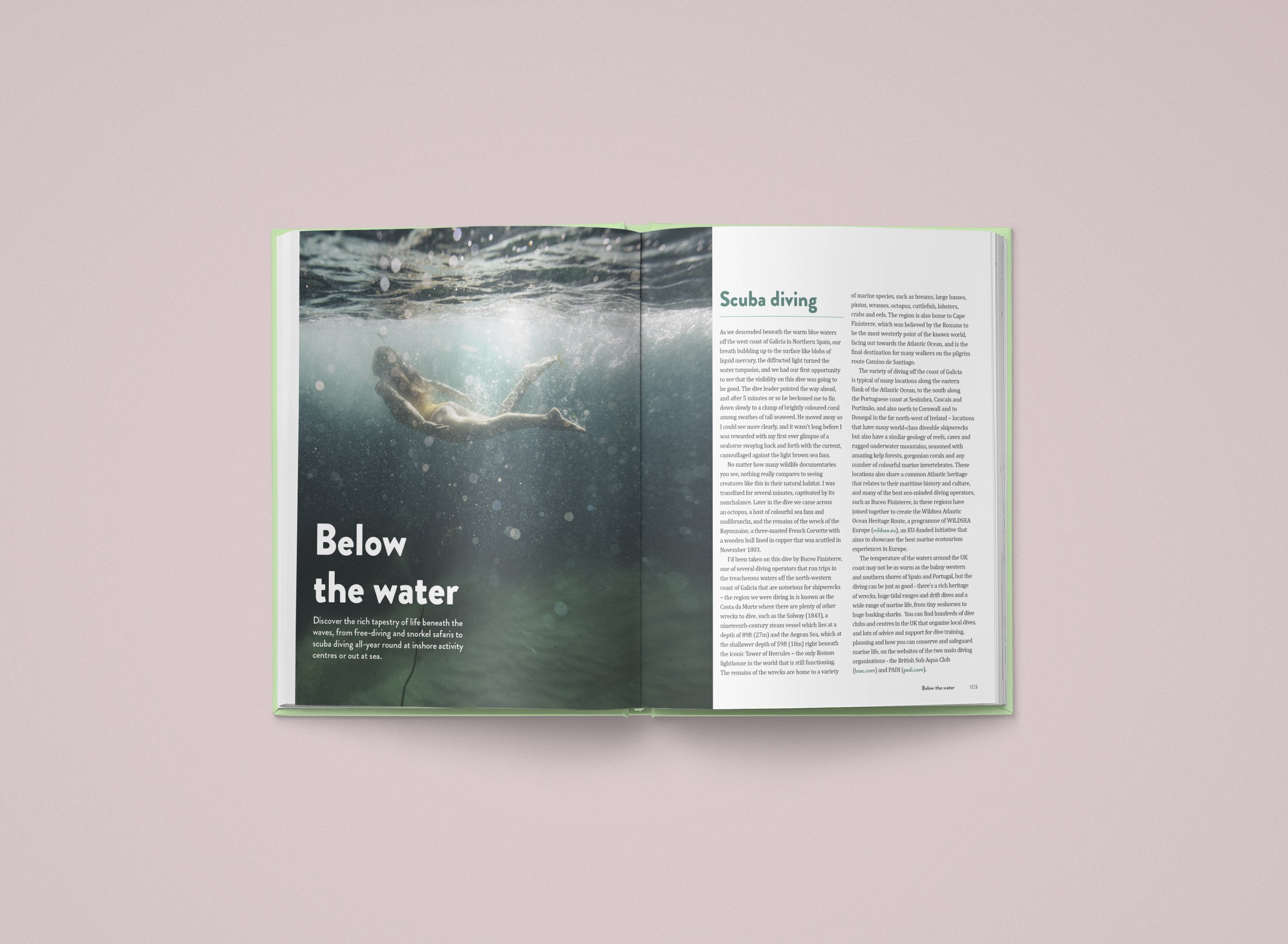 GT_SPreads-by PuneDesign copy5.jpg