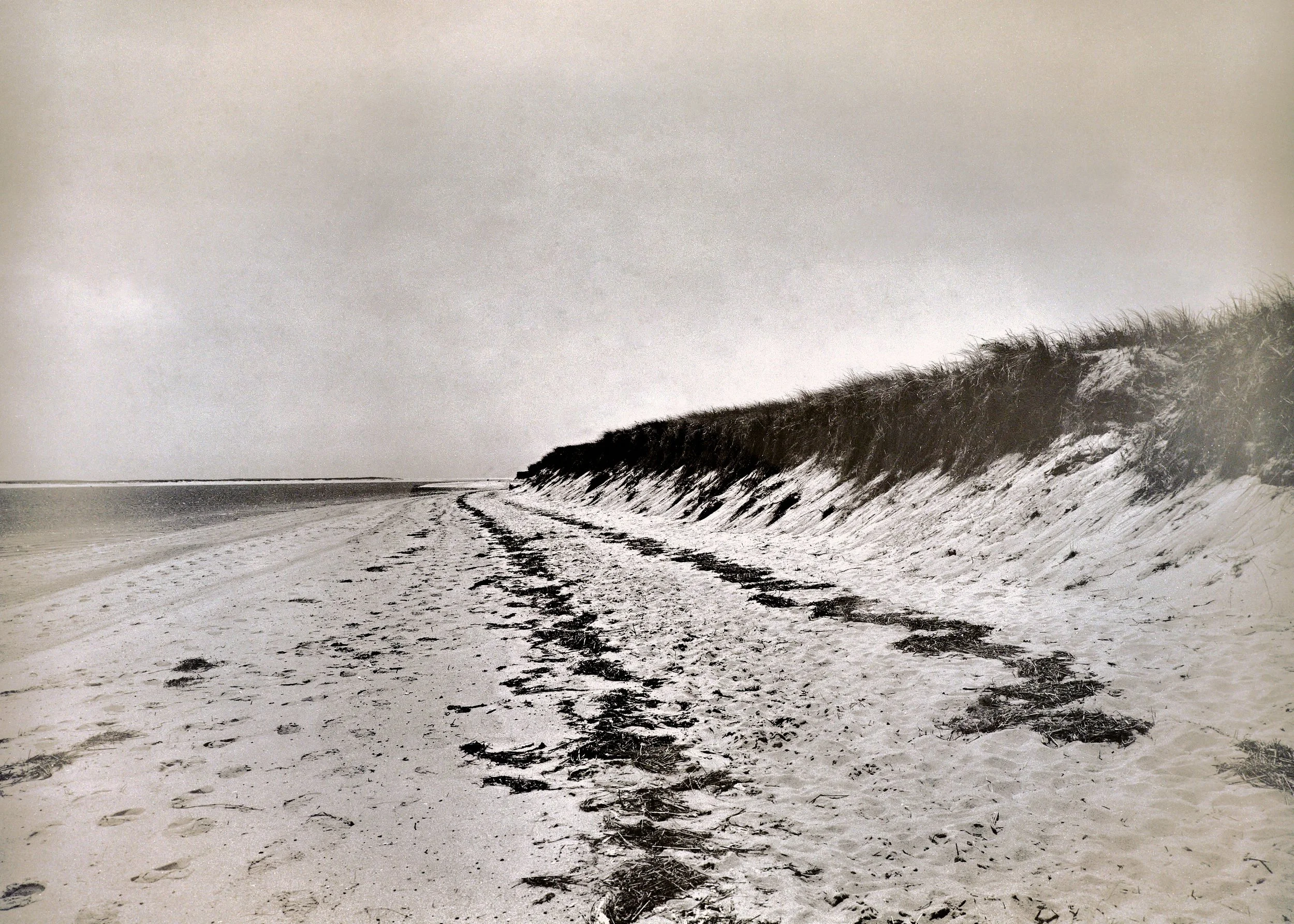 Lighthouse Beach