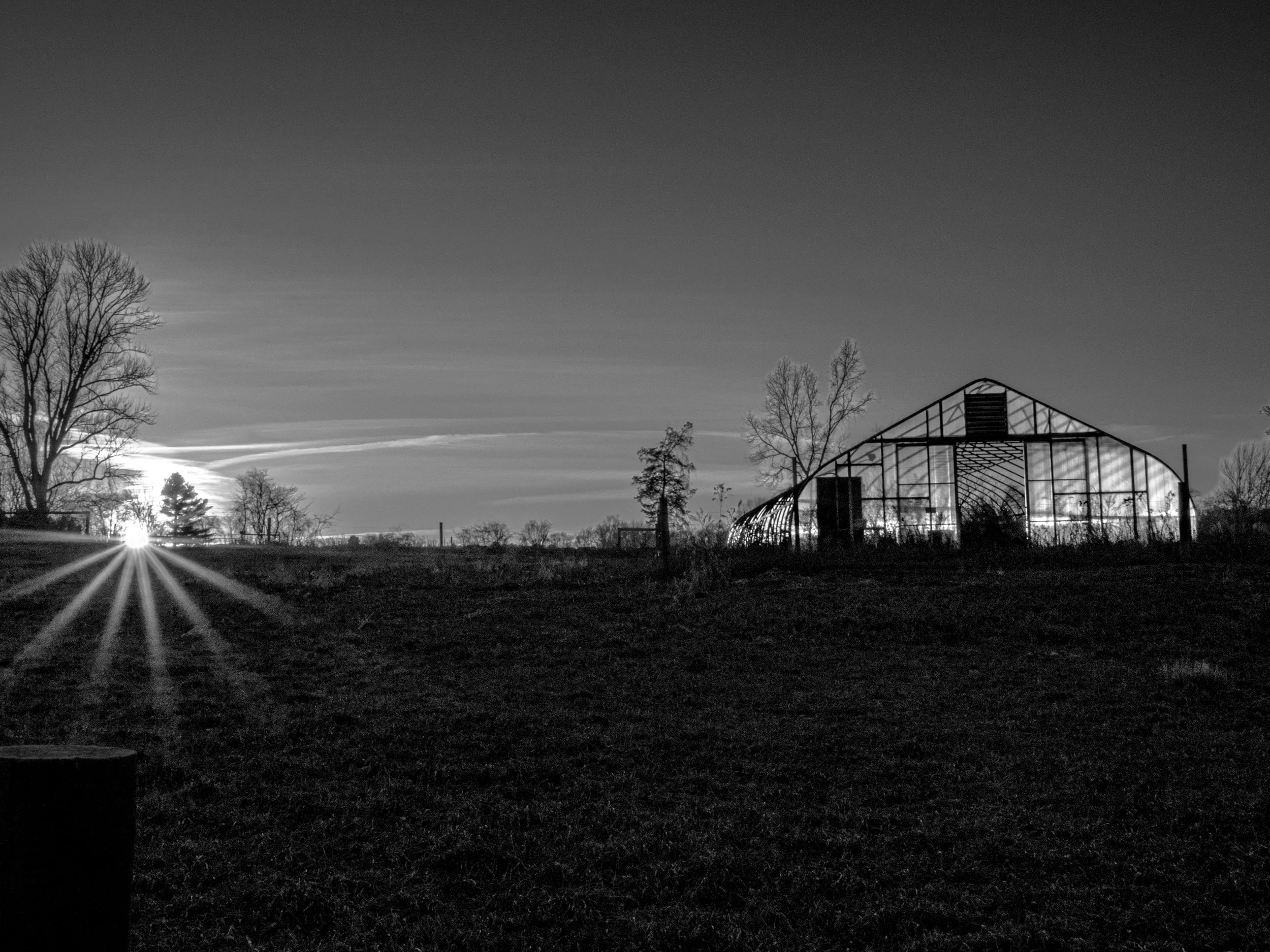 Greenhouse.jpg