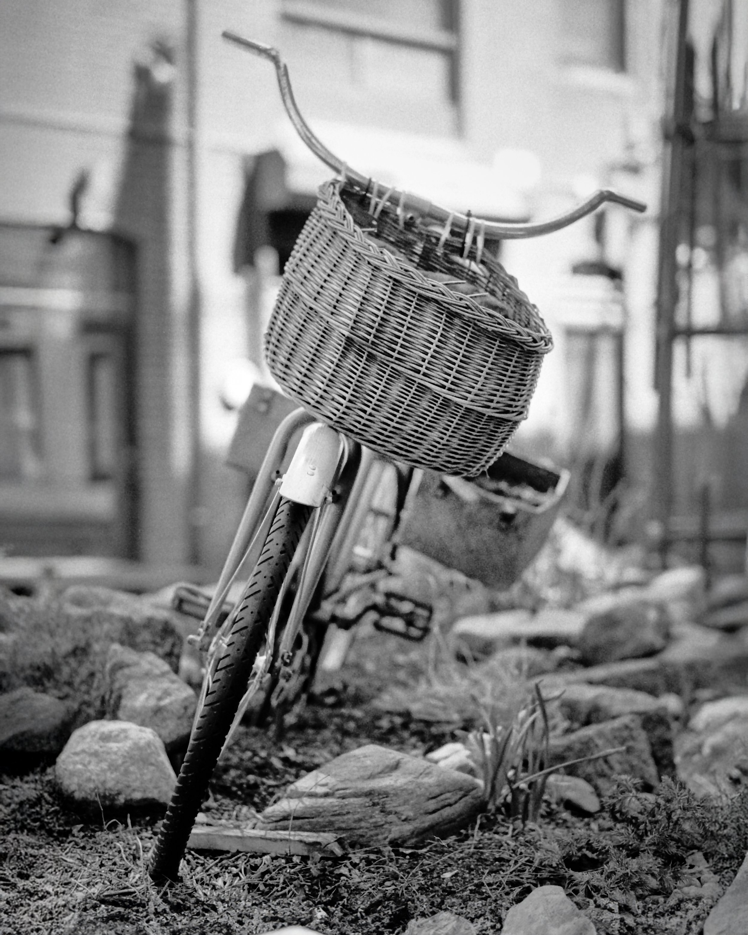 Bicycle with Basket.jpg