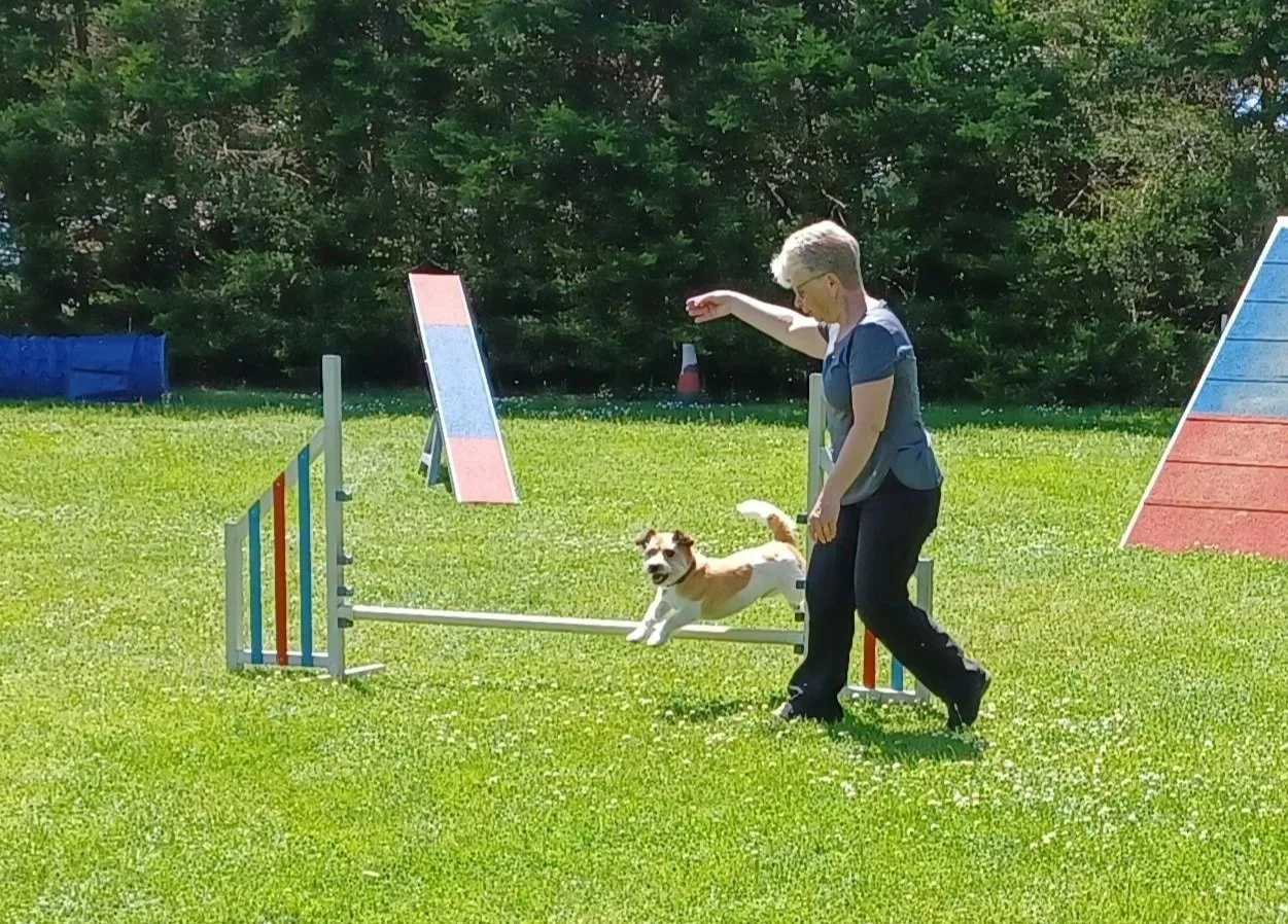287597038_1077163772889570_7255192503897267679_n_1077163776222903.jpg