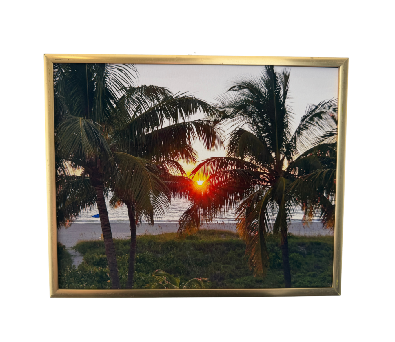 Sanibel Palms