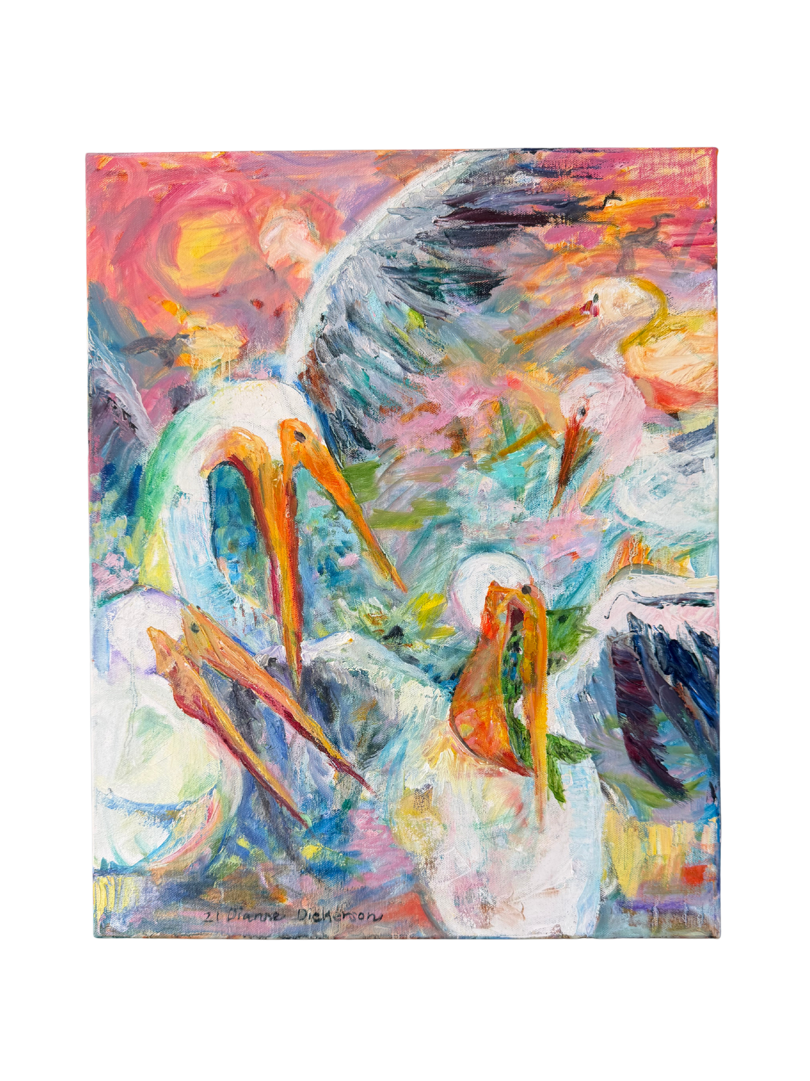 Pelicans