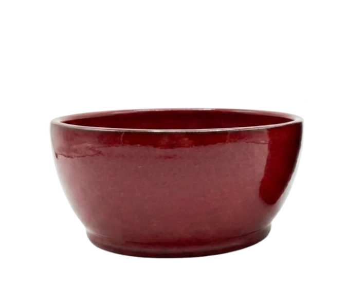 Your%2Bparagraph%2Btext.png
