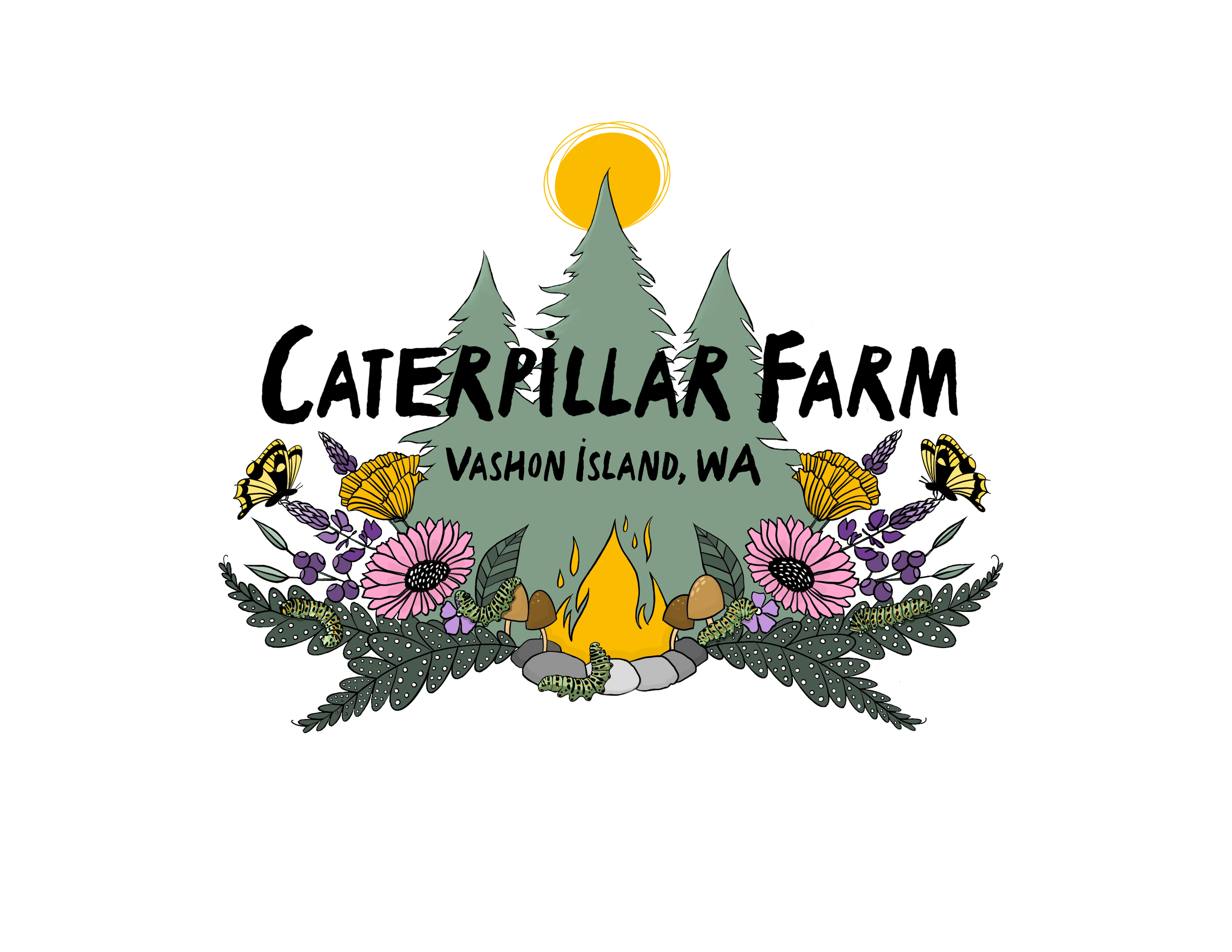 enrollment-forms-caterpillar-farm-preschool-on-vashon