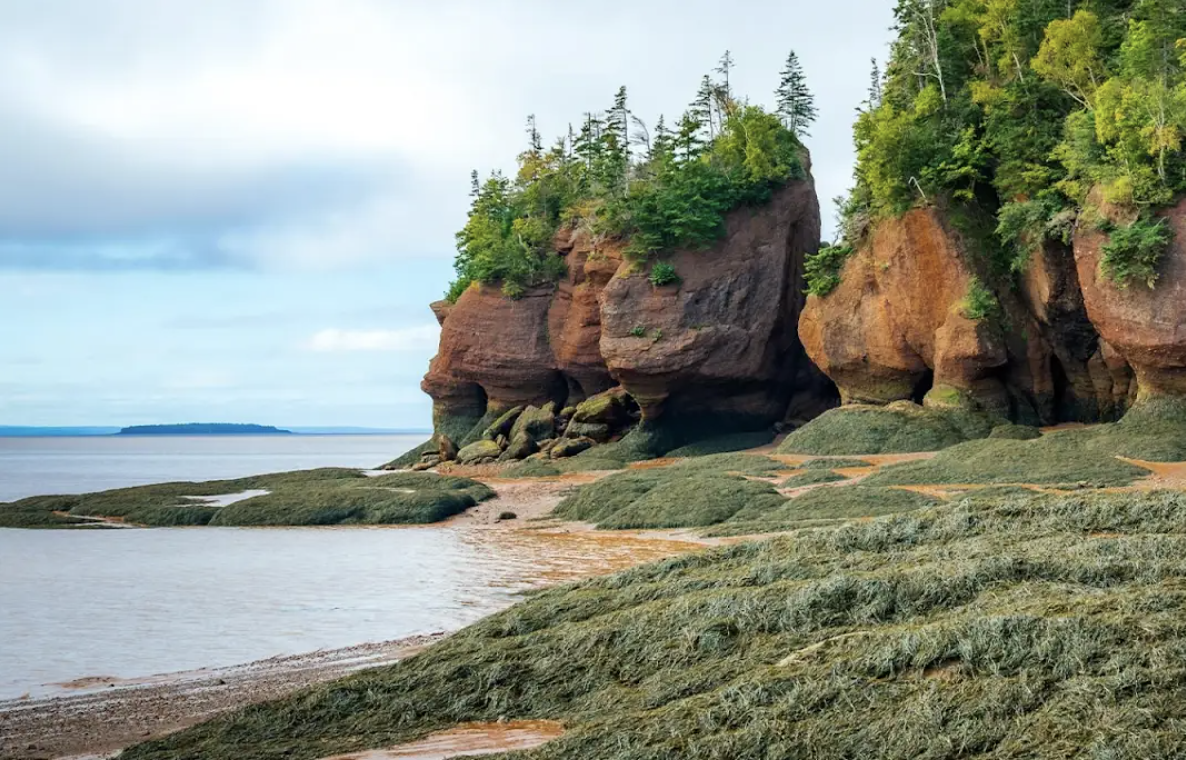DWP IN PERSON: NEW BRUNSWICK - MONCTON