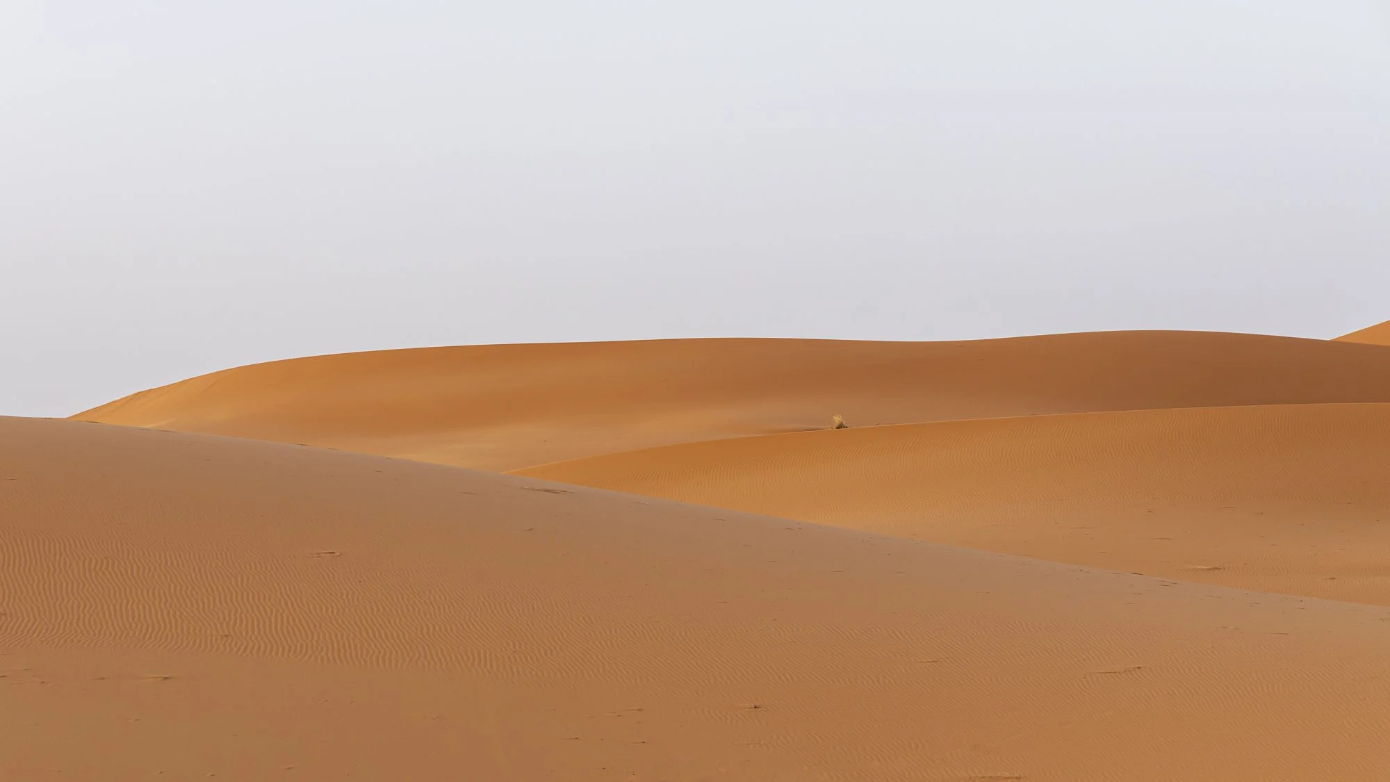 Sahara waves-3.jpg