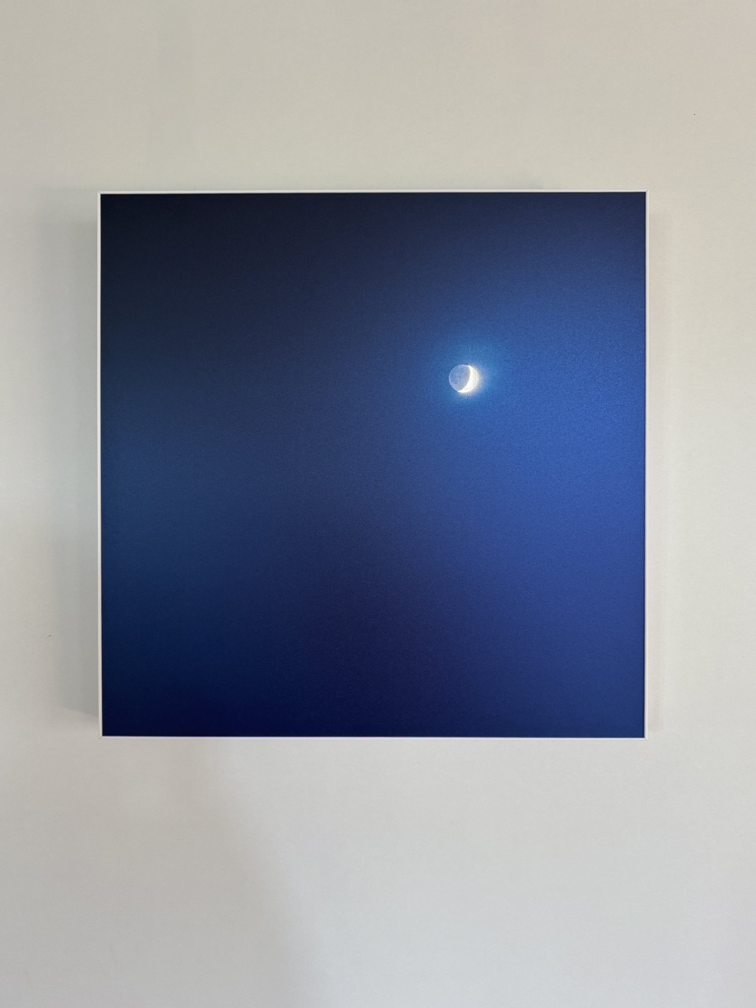 Segaert_Mia_Moonlight Ib (1 of 1).jpg