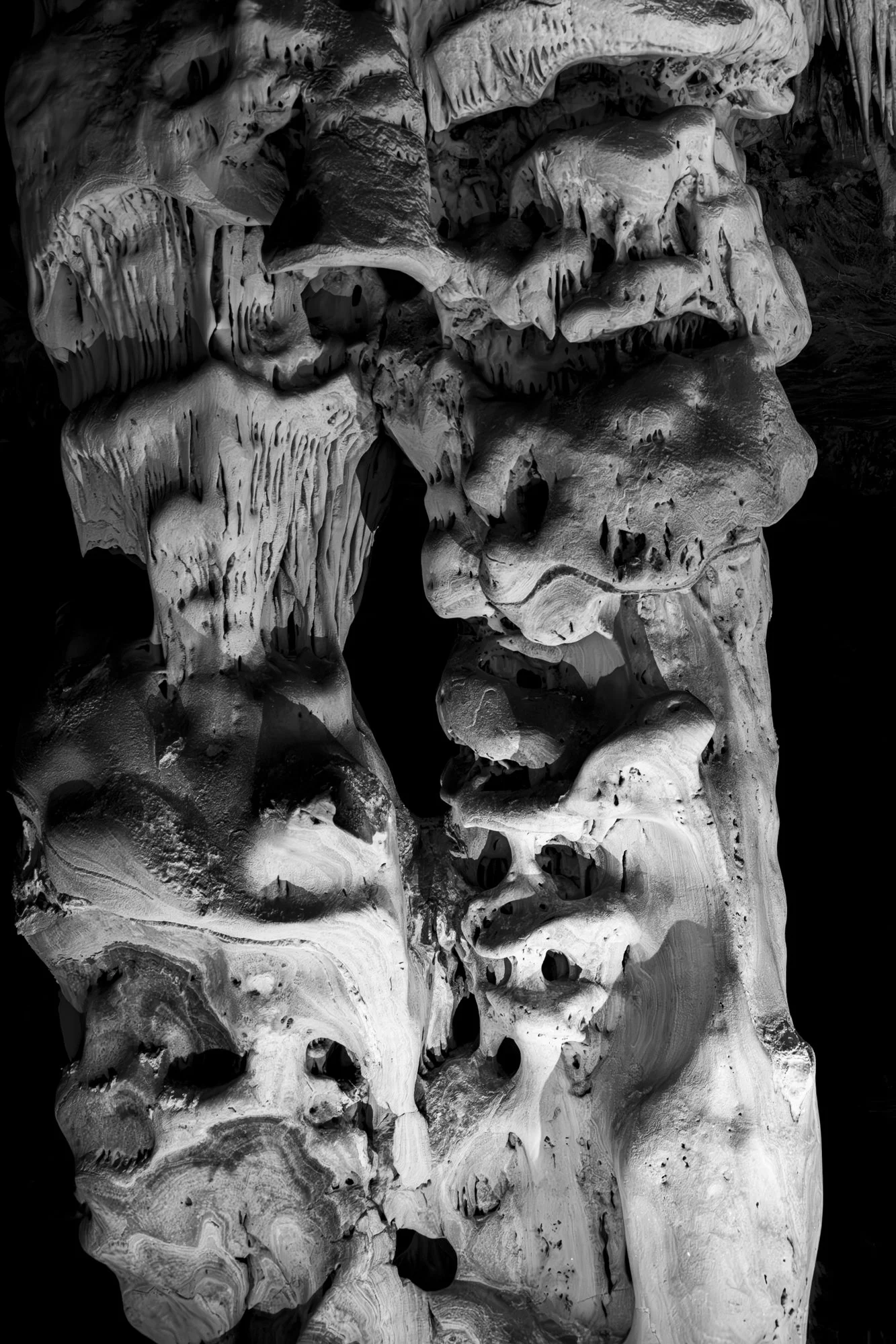 Dance of Death (2 of 2).jpg