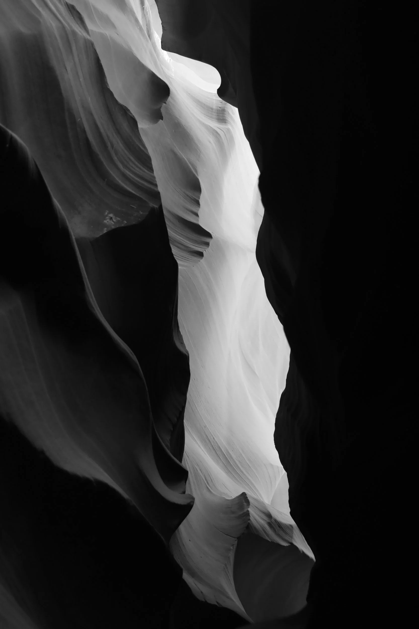 GI  (2 of 3).jpg