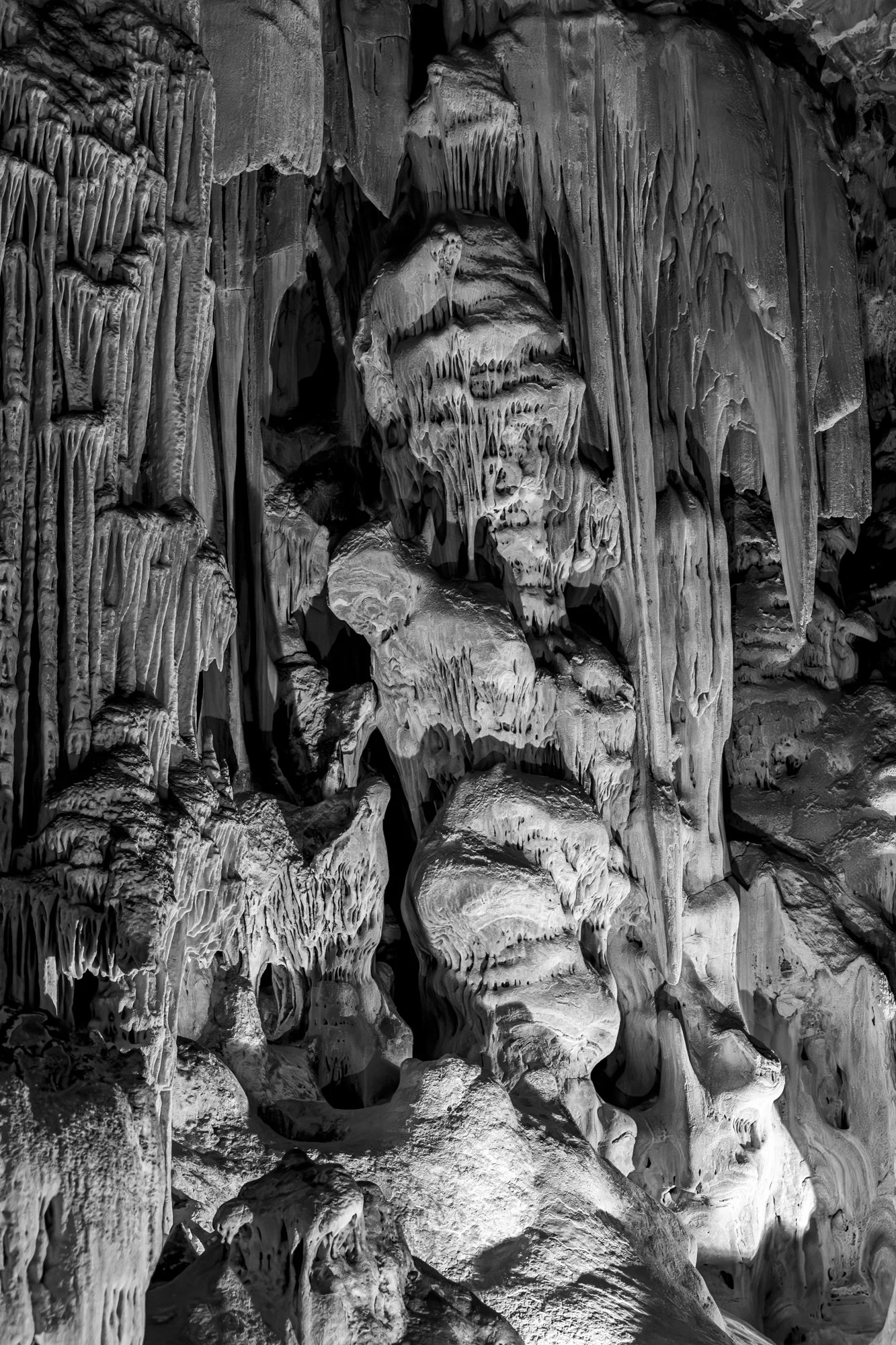 Dance of Death (1 of 1).jpg
