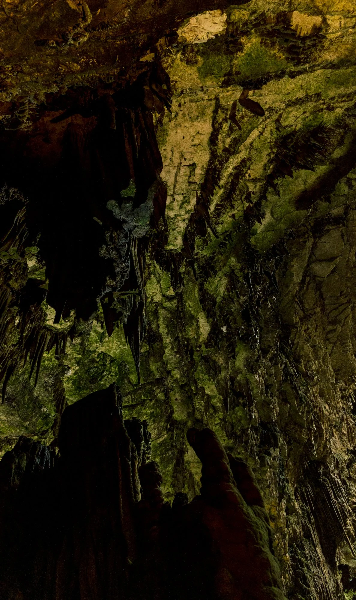 Luminous depths s green-6687.jpg