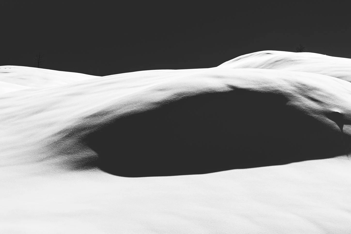 Altitude no name yet (1 of 1).jpg