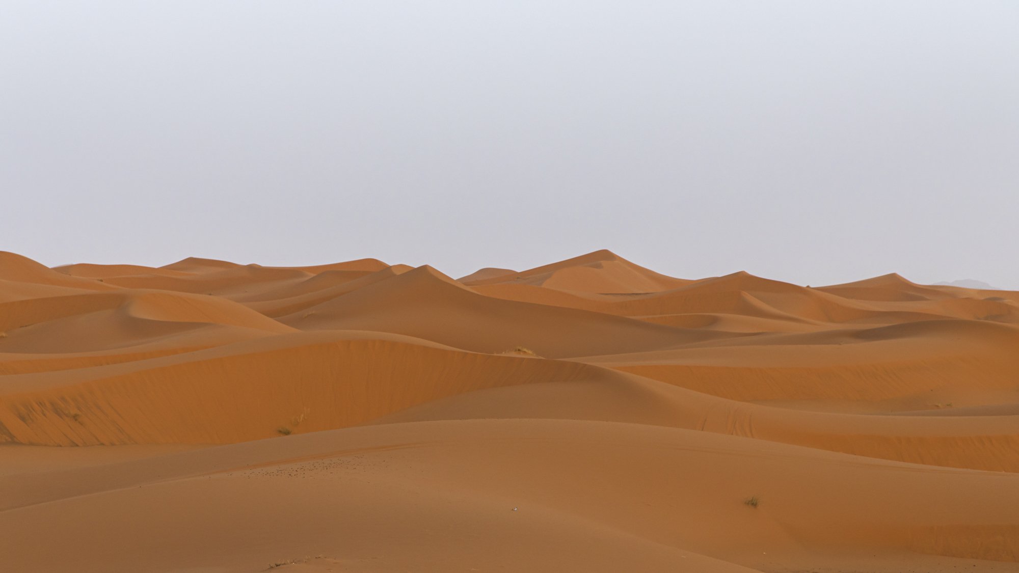Sahara waves-4.jpg