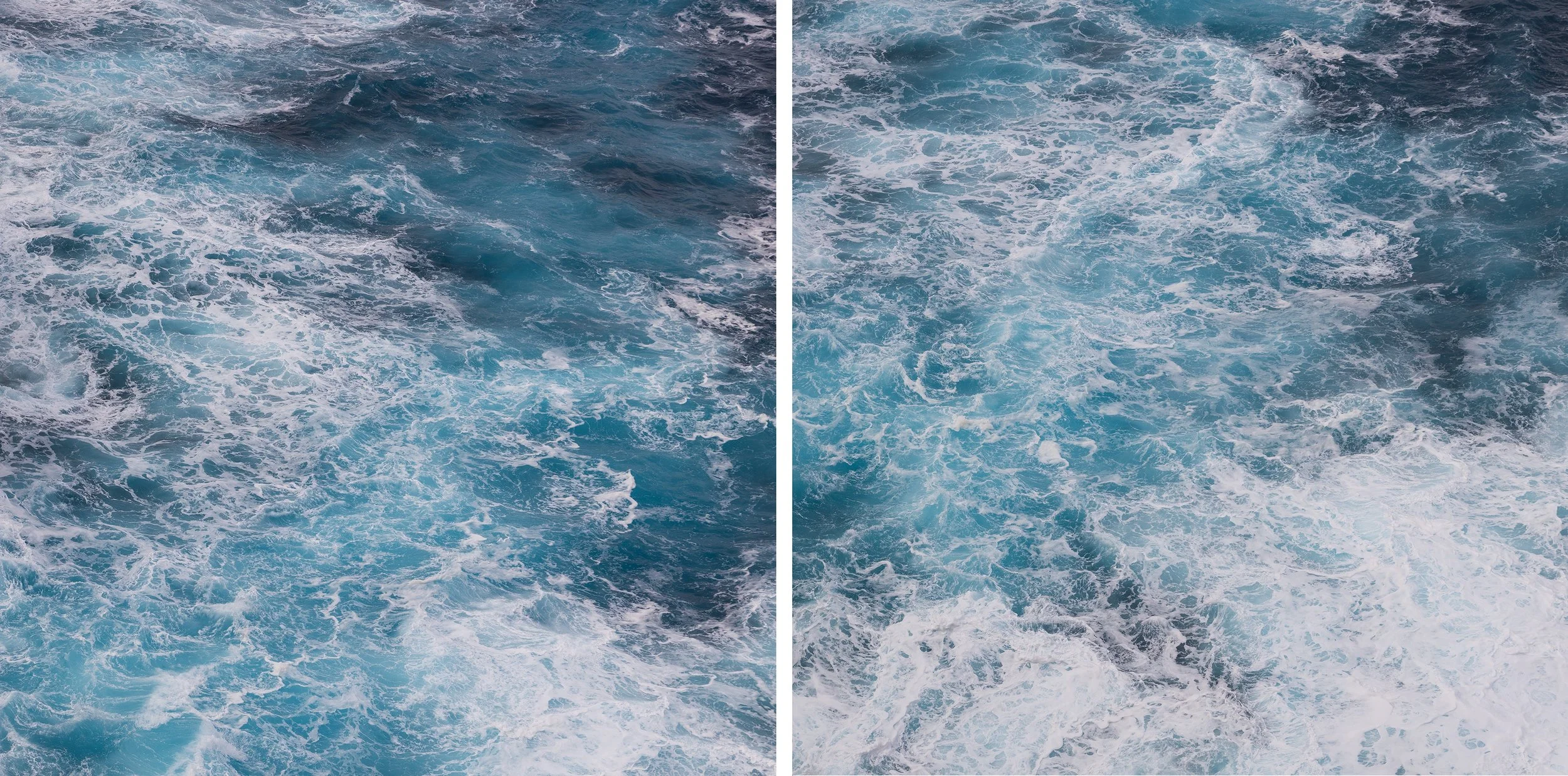 Symbiosis of blue & white 1+2.jpg