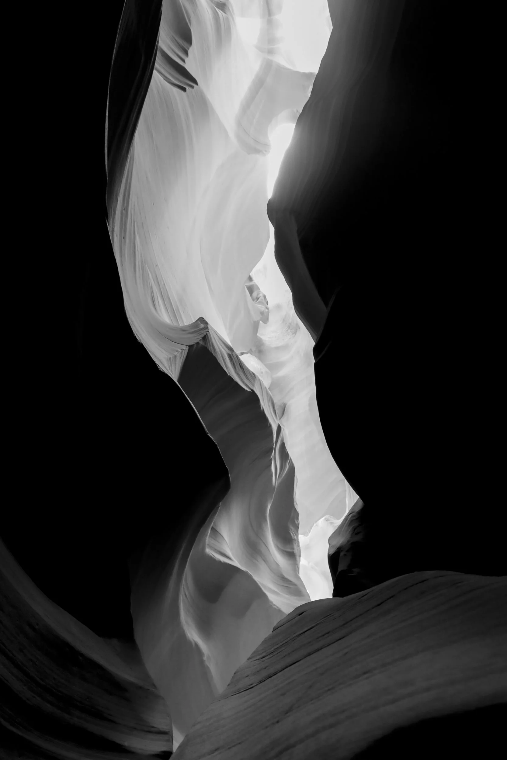 GI  (3 of 3).jpg