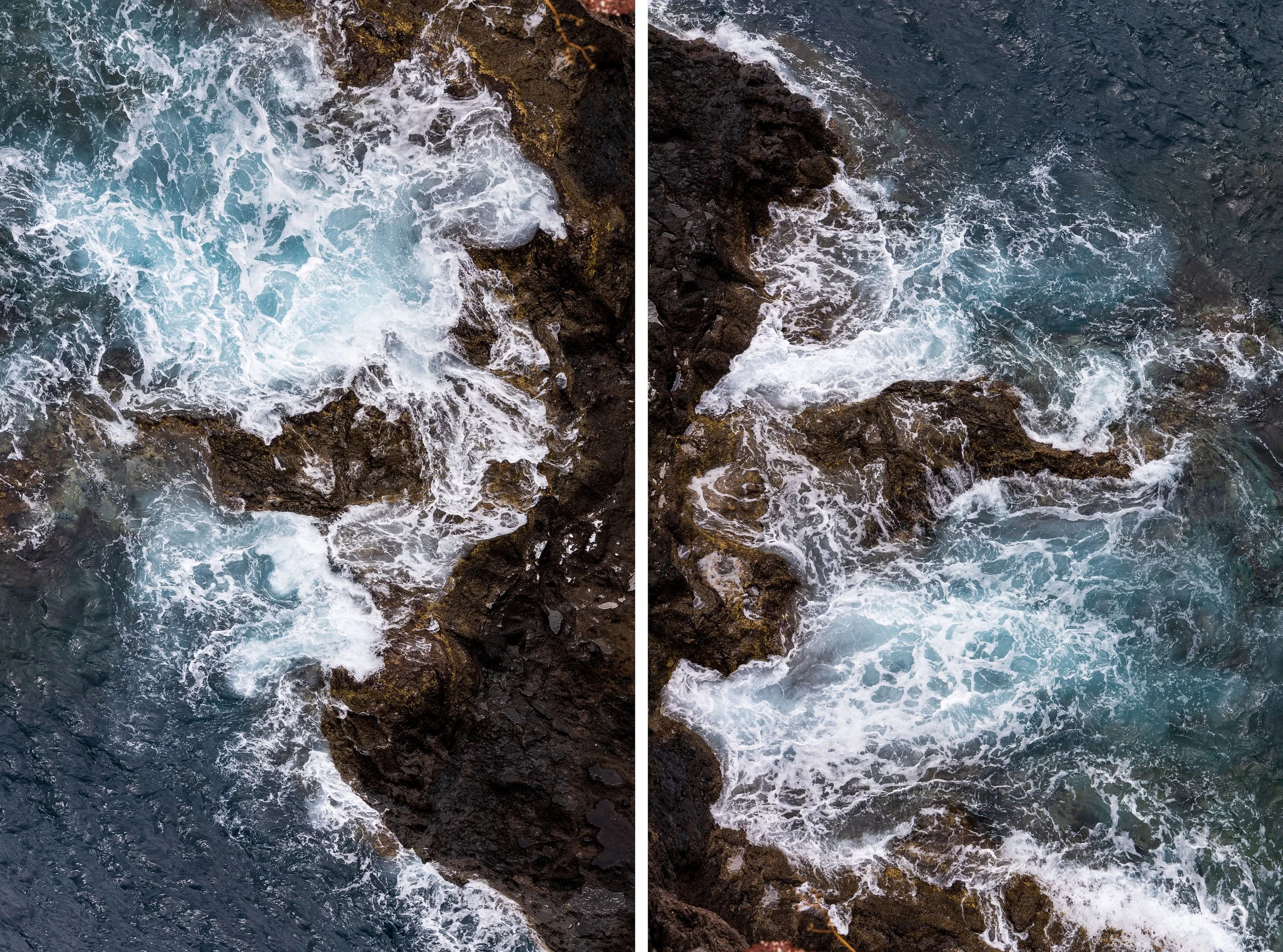 Seahorsesb 1+2.jpg