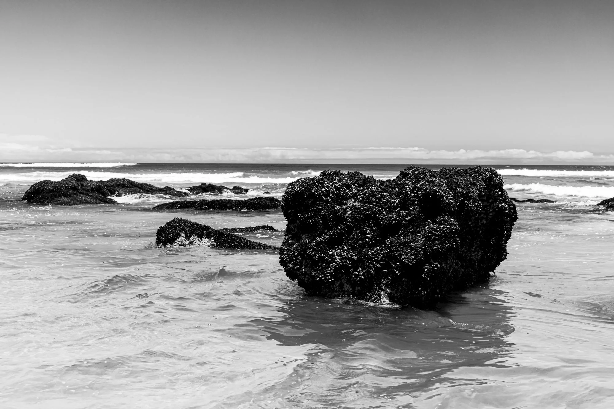 Mosselbay (1 of 1).jpg