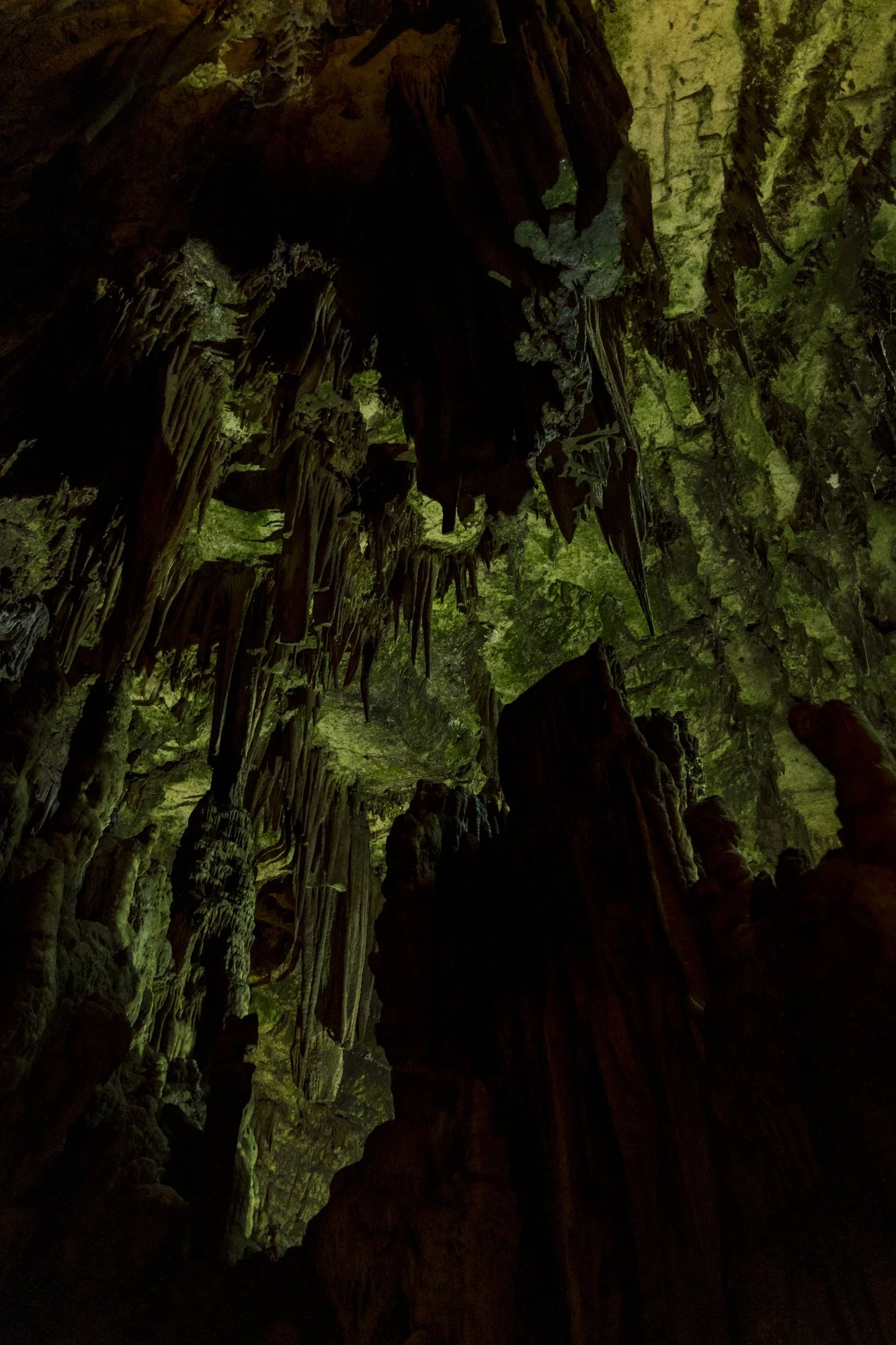 Grotta di Castellana-6686.jpg