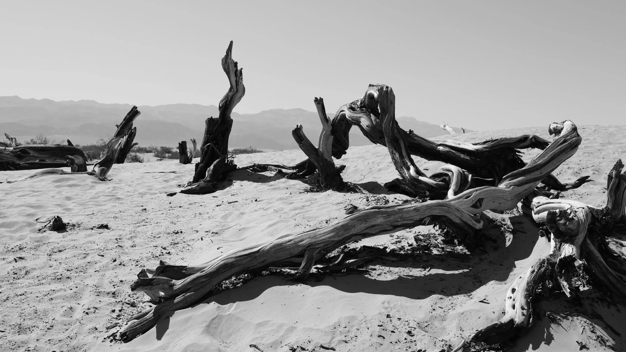 Death valley-6549.jpg