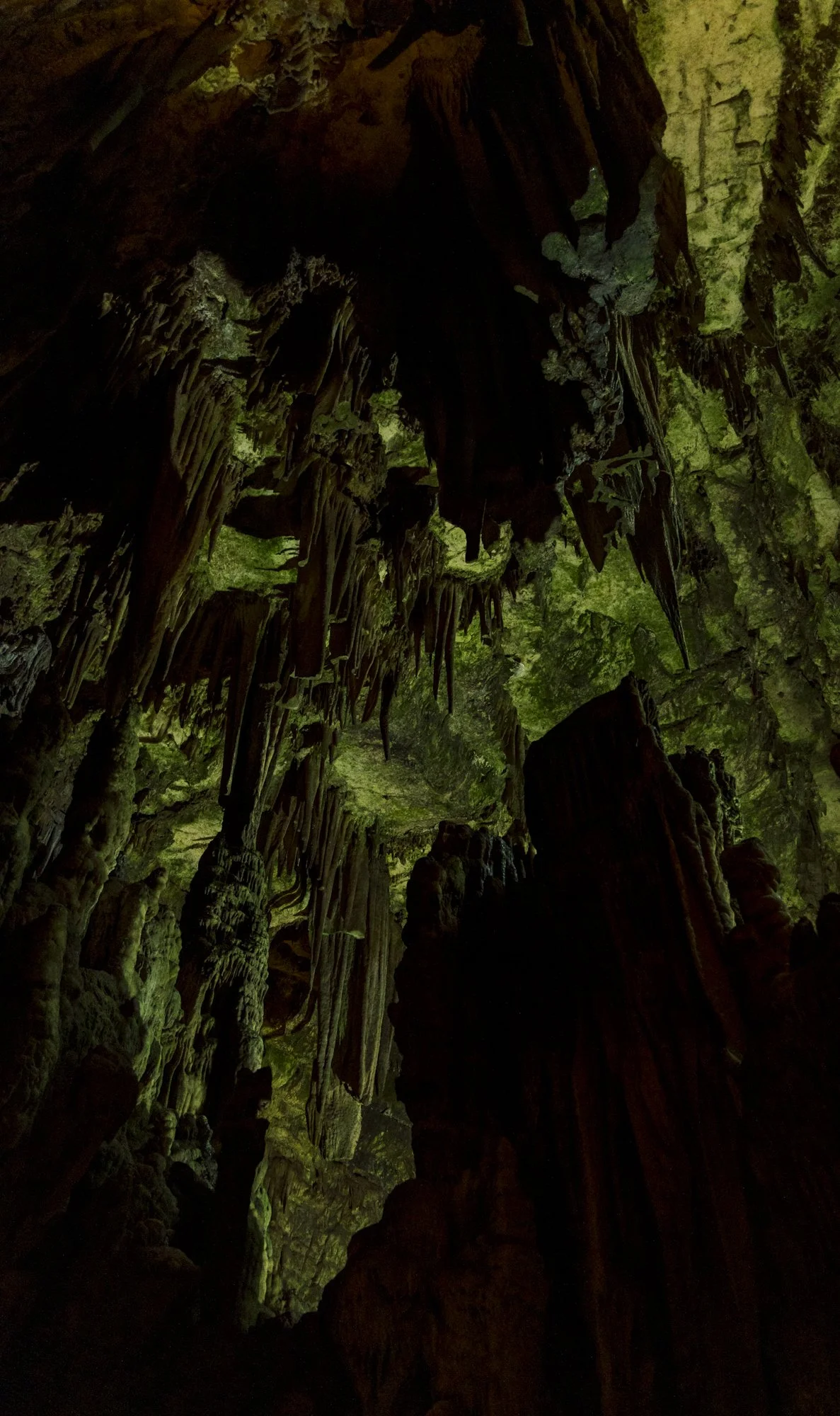 Luminous depths s green-6686.jpg