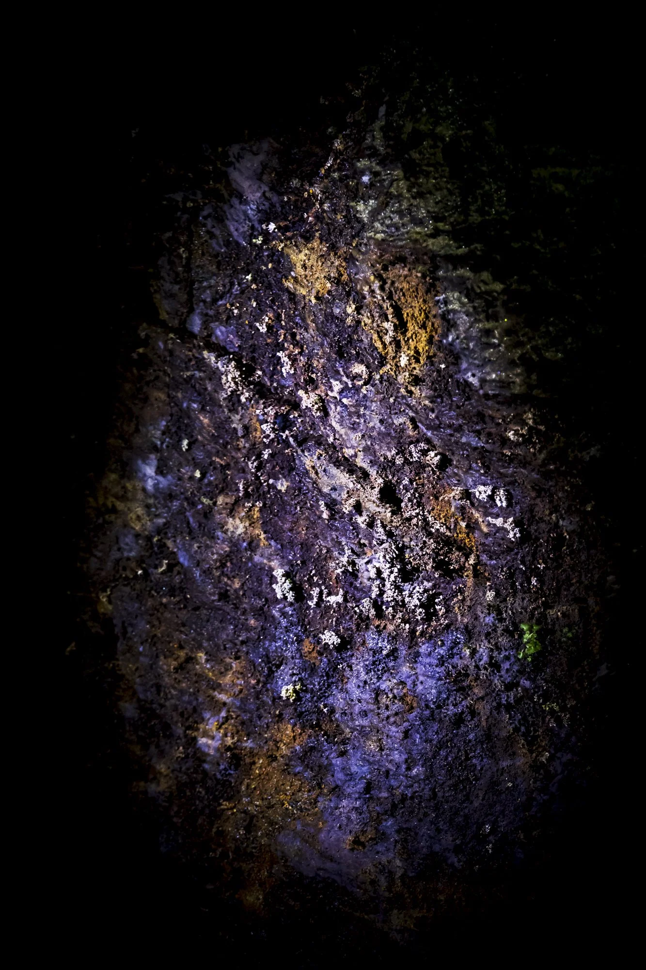 EGG (1 of 1).jpg