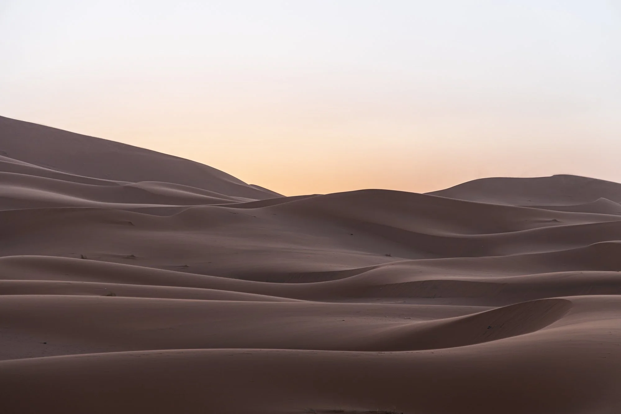 Sahara waves-1.jpg