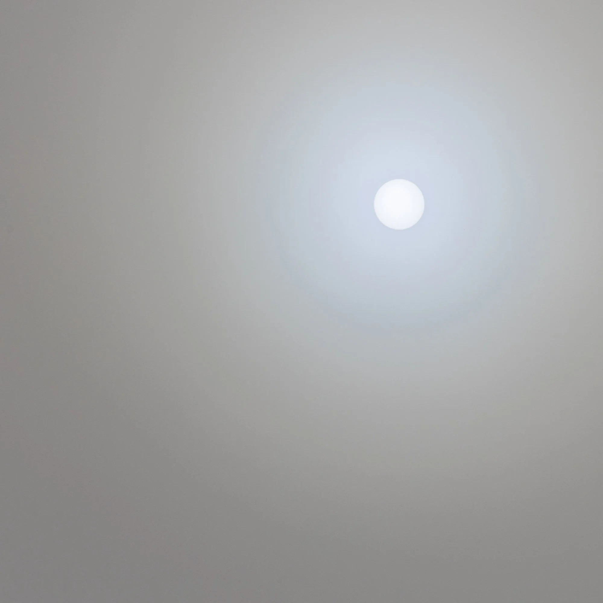 Segaert_Mia_sun in the mist2 (1 of 1).jpg