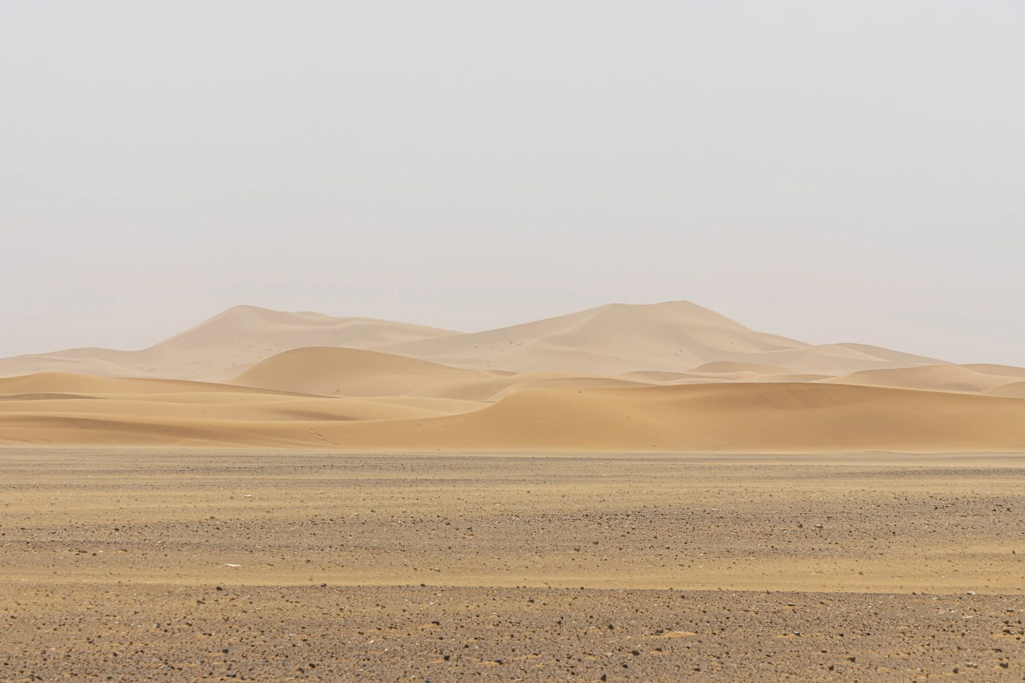 Sahara waves-2.jpg