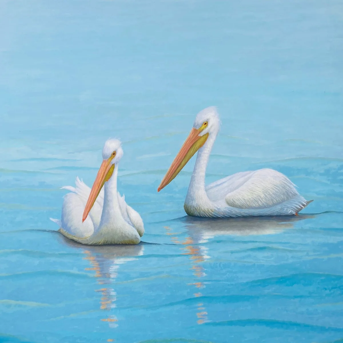White-Pelicans-Oil-42x42.jpeg