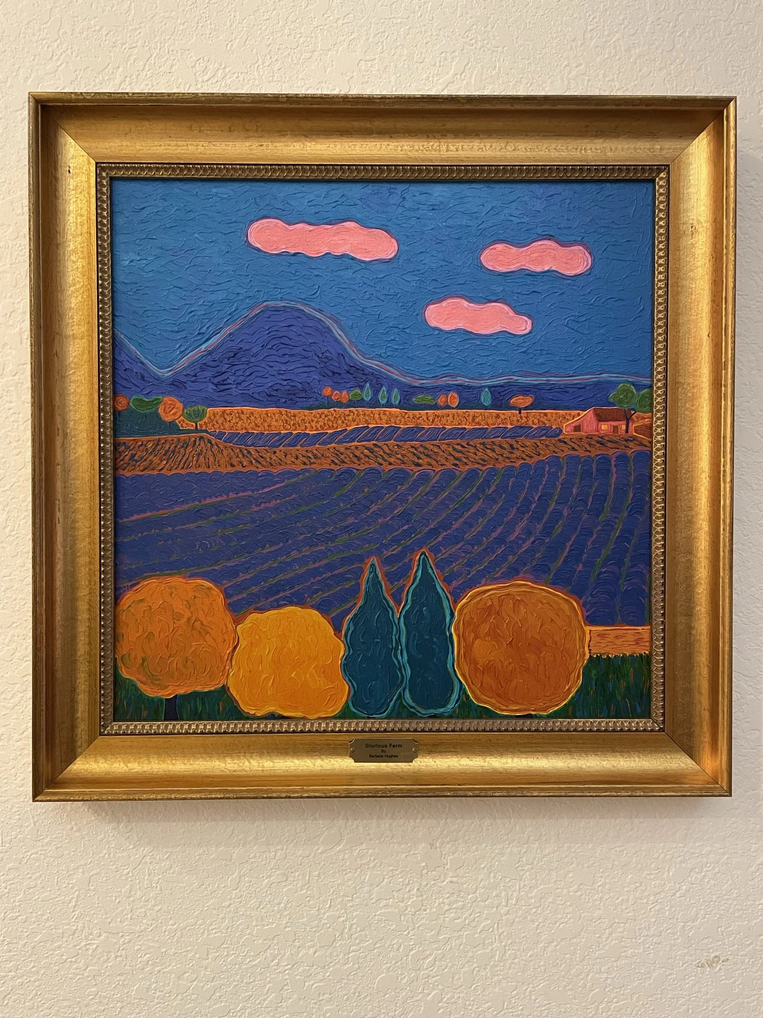 Glorious Farm 24X24 framed.JPEG