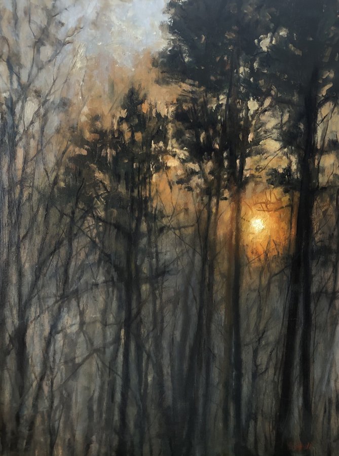 Sunrise Through the Pines 16x12 oil $1600.jpg