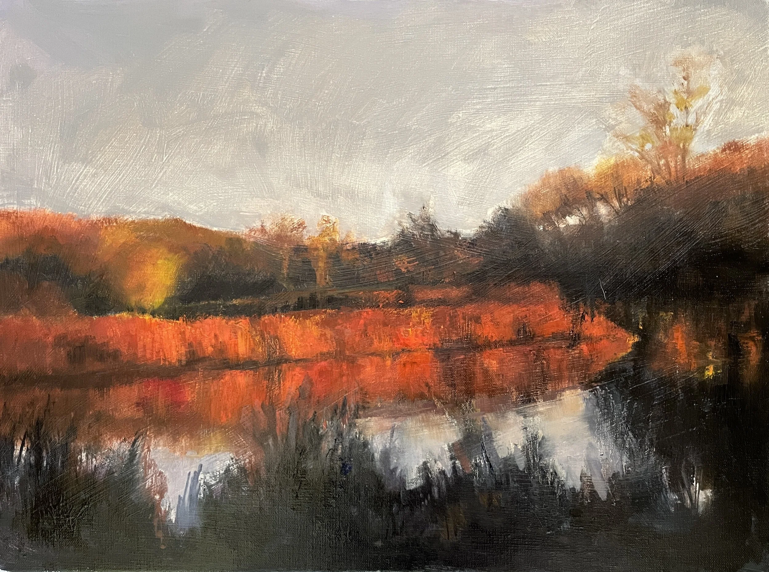 REFLECTIONS 15X19 FRAMED   IMG_8206.jpg