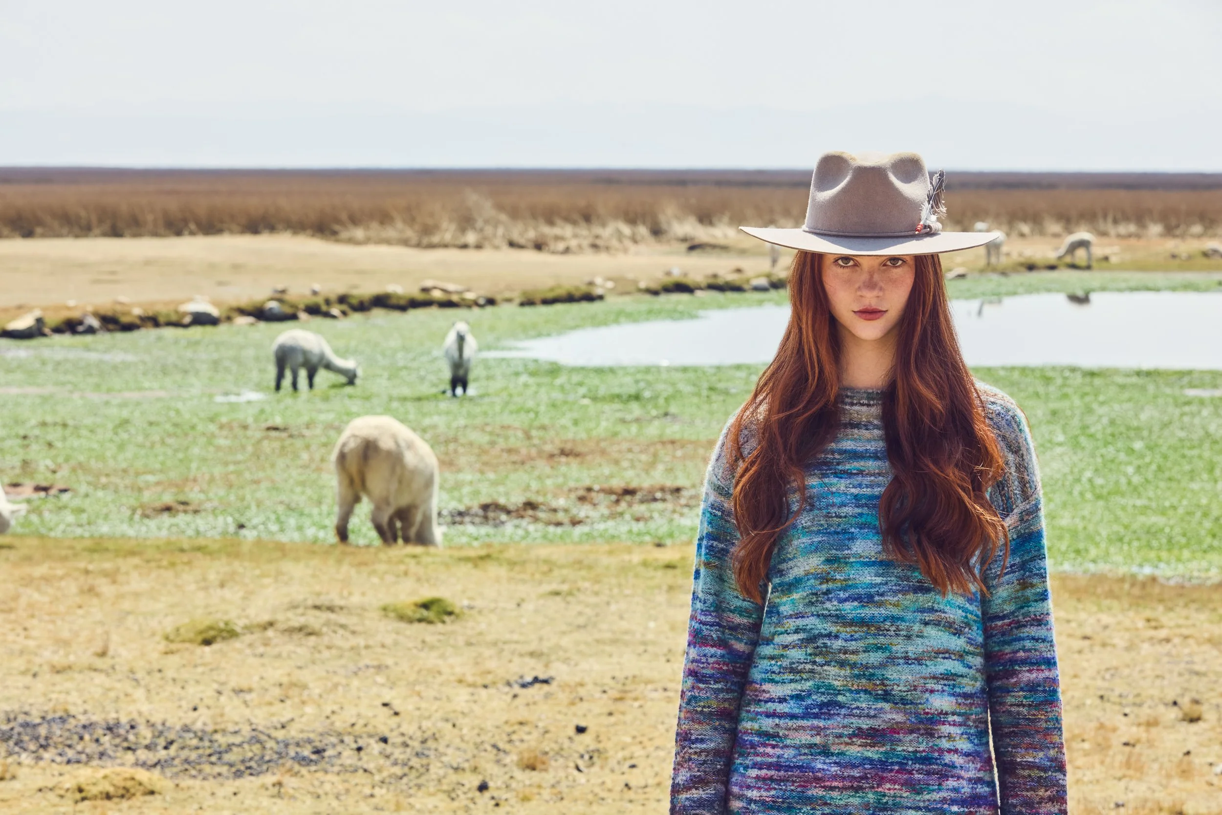 ARRE HATS0436 1-1.jpeg