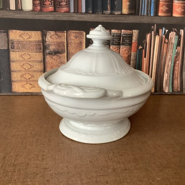 CoVScalloped Dec2feb24.JPG