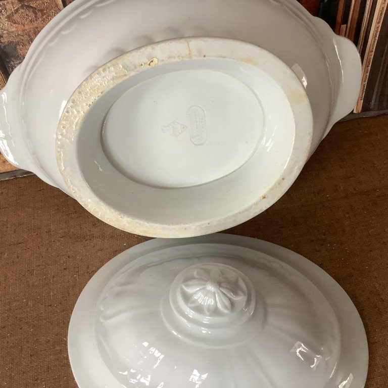 CoVScalloped Dec4feb24.JPG