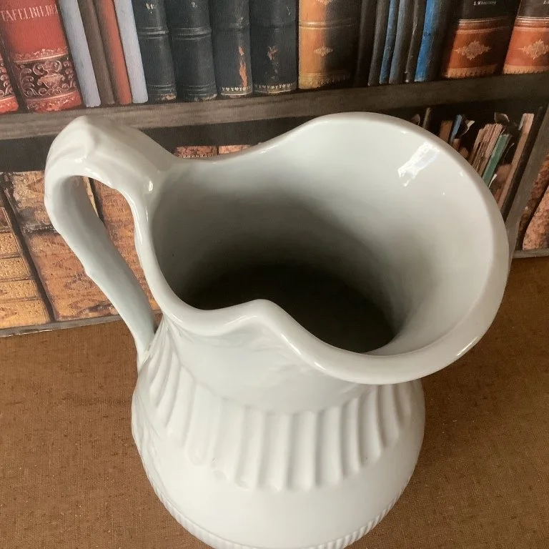 EwerRibbed Raspberry with Bloom3feb24.JPG