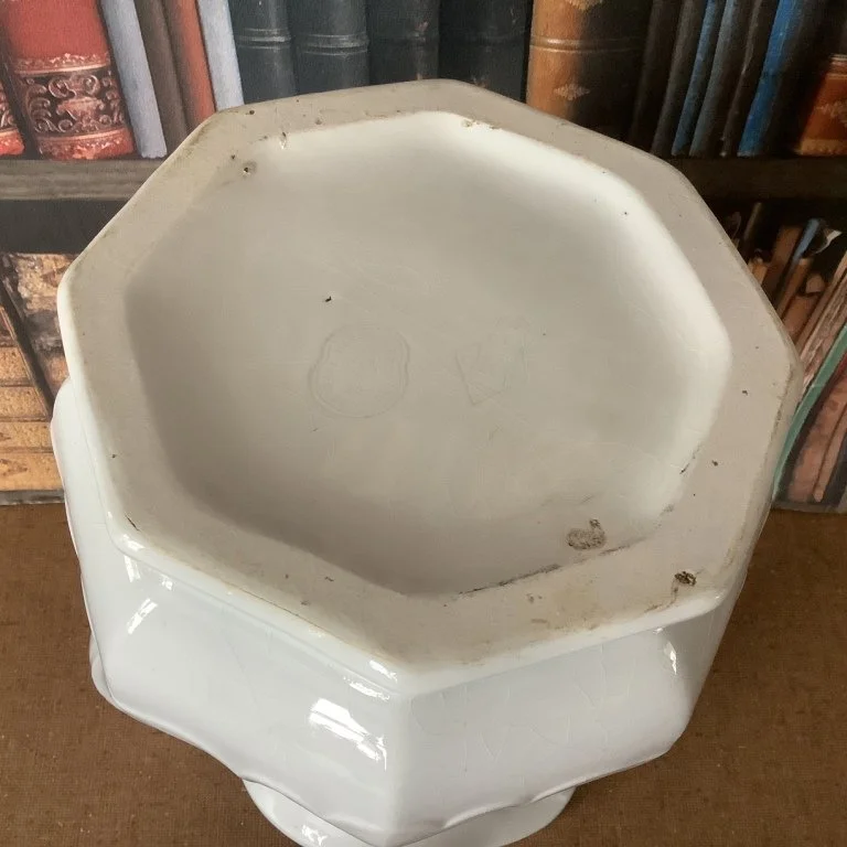 EwerScalloped Decagon4feb24.JPG