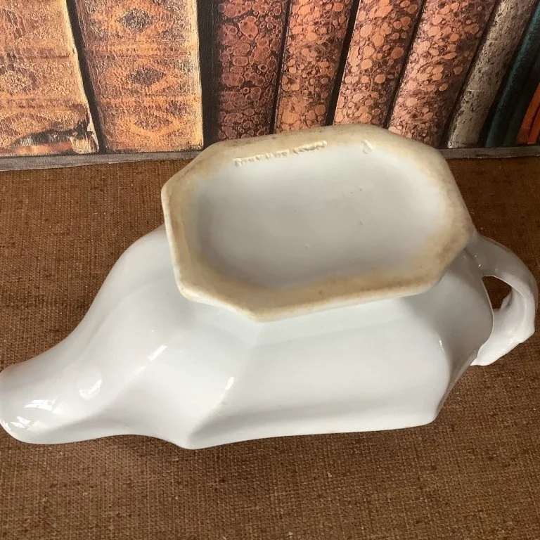 GravySquare Ridged4feb24.JPG