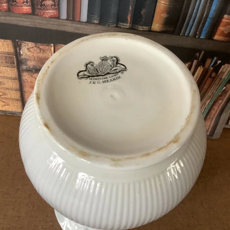 EwerRibbed Raspberry with Bloom4feb24.JPG