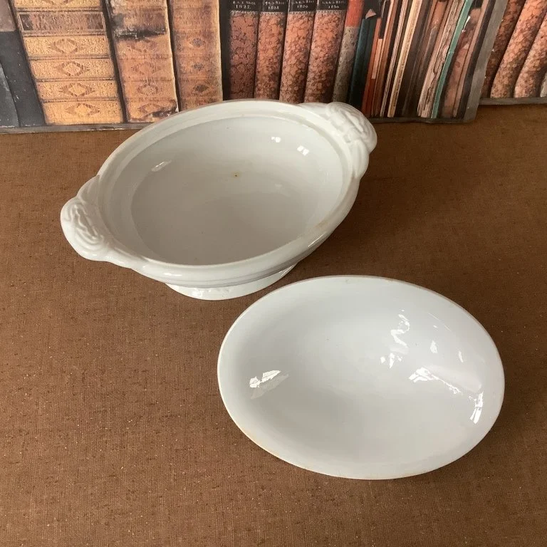 CoVScalloped Dec3feb24.JPG