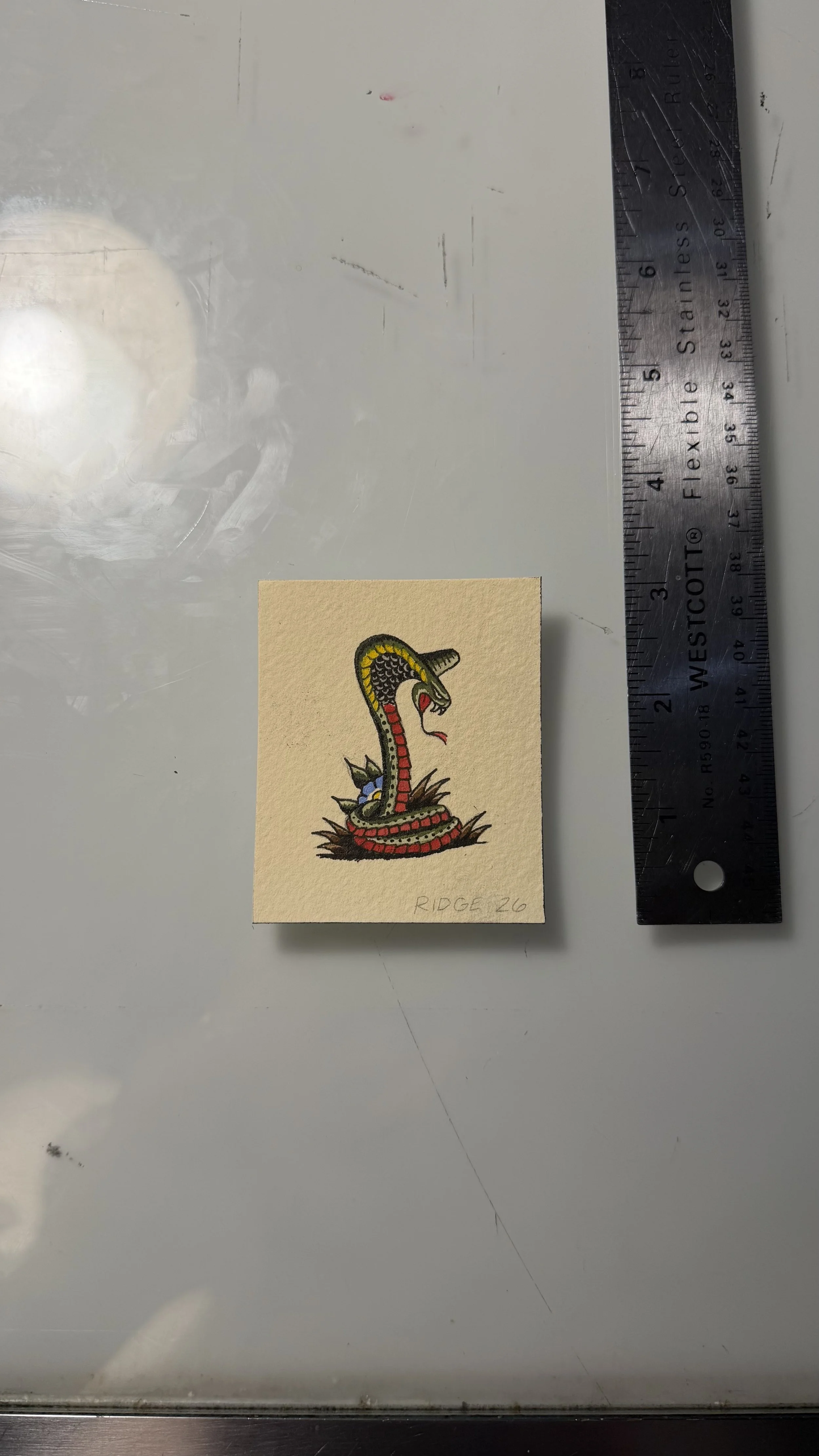 Mini Snake Painting