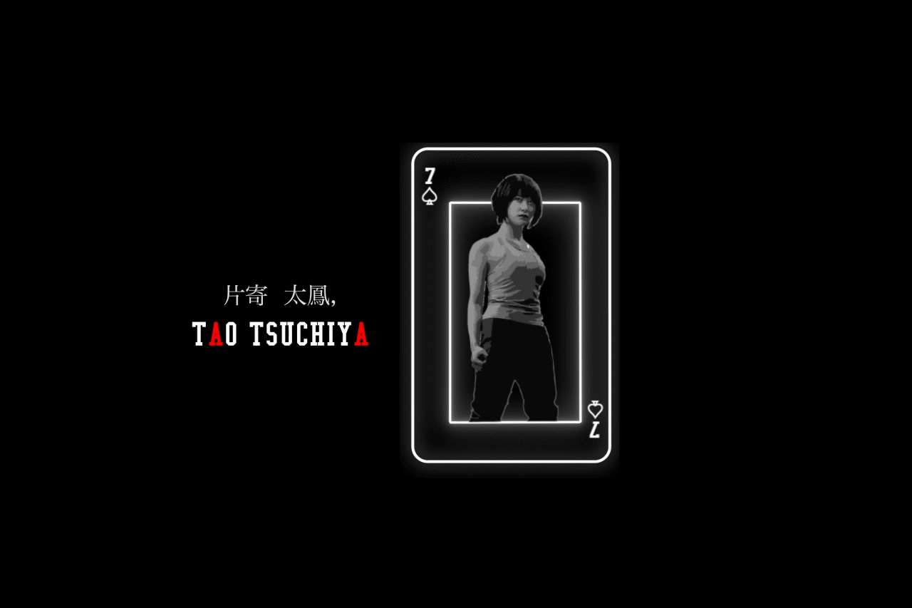 After Effects/Motion Graphics