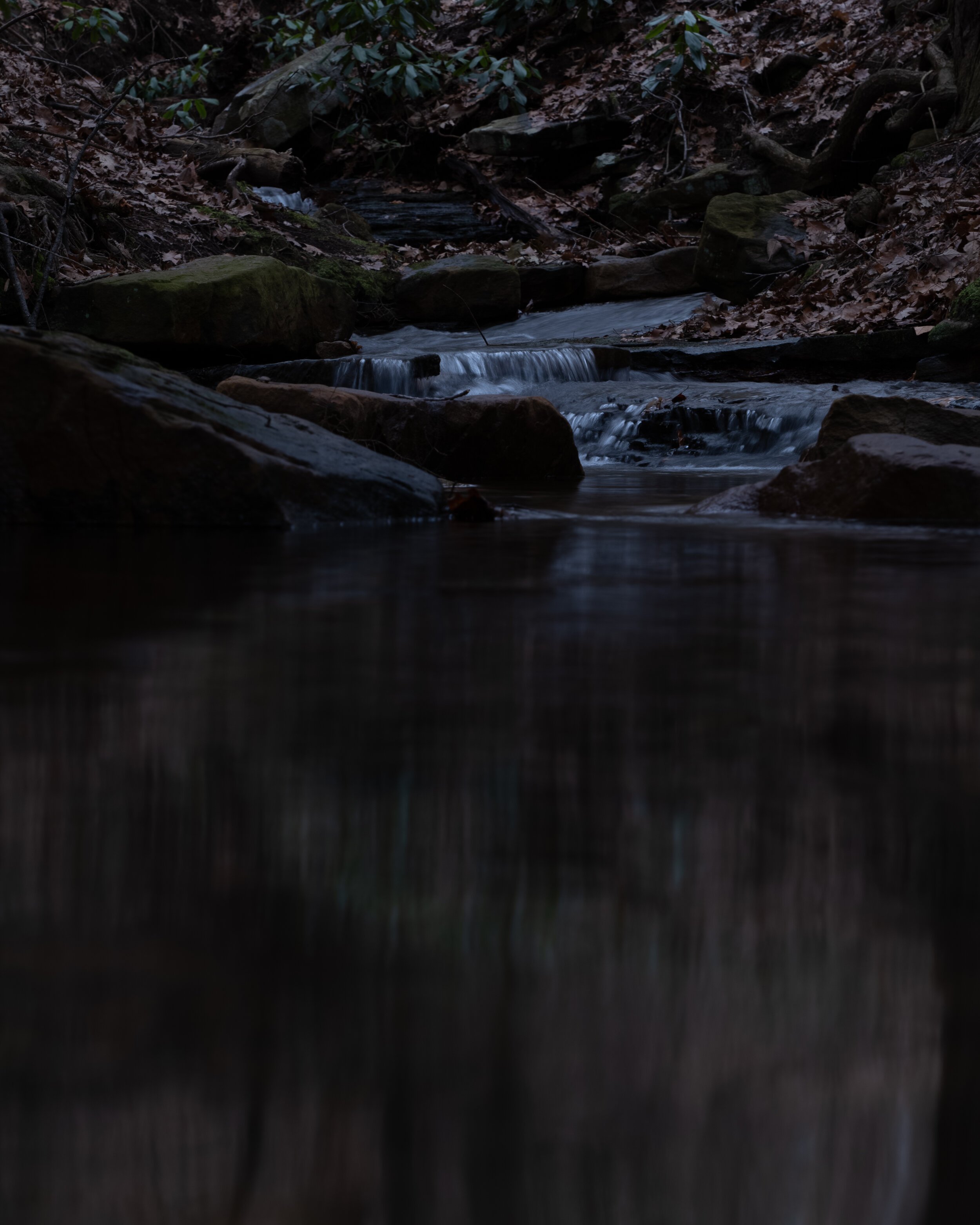 Panasonic_S1_VLog_Photo_Before_2.jpg